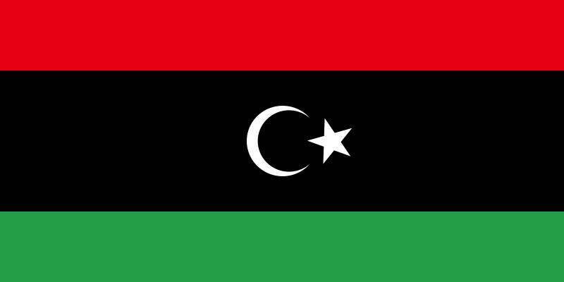 Free Libyan Air Force